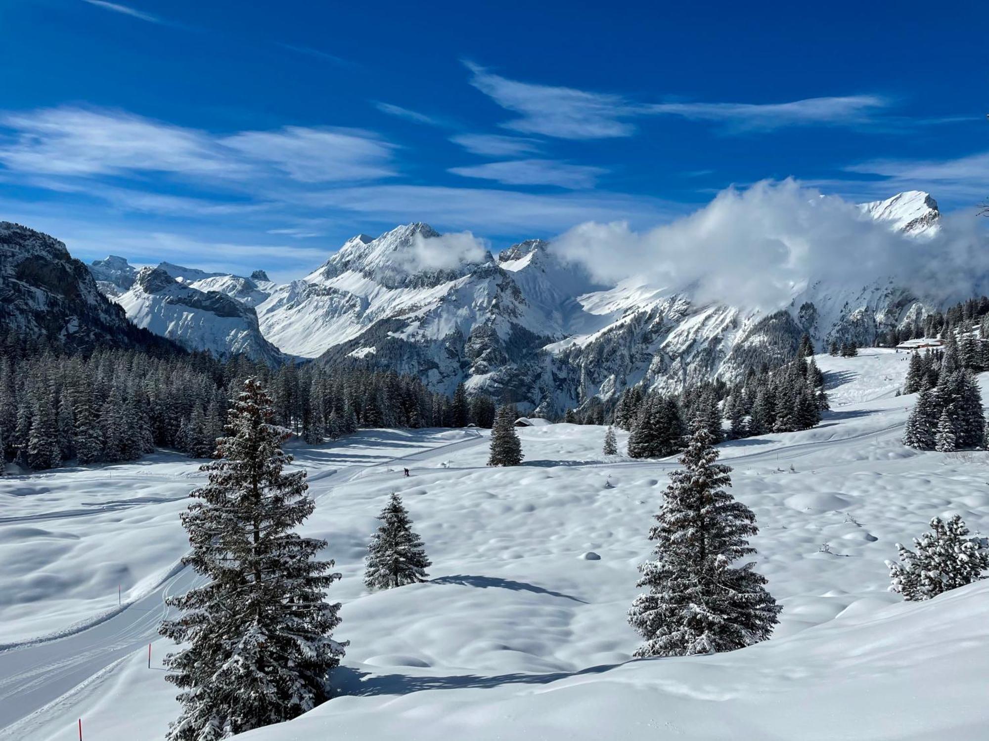 Seilers Vintage Hotel & Spa Kandersteg Eksteriør bilde