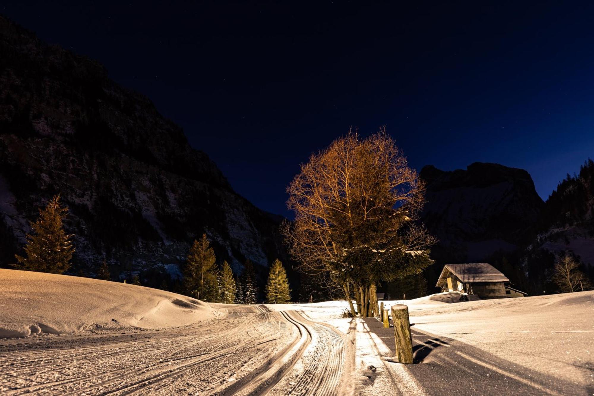 Seilers Vintage Hotel & Spa Kandersteg Eksteriør bilde